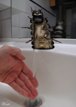 Waterbug Faucet